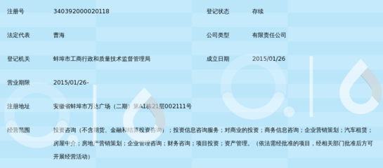 安徽致合投資管理咨詢 領(lǐng)航汽車信息咨詢新藍(lán)海